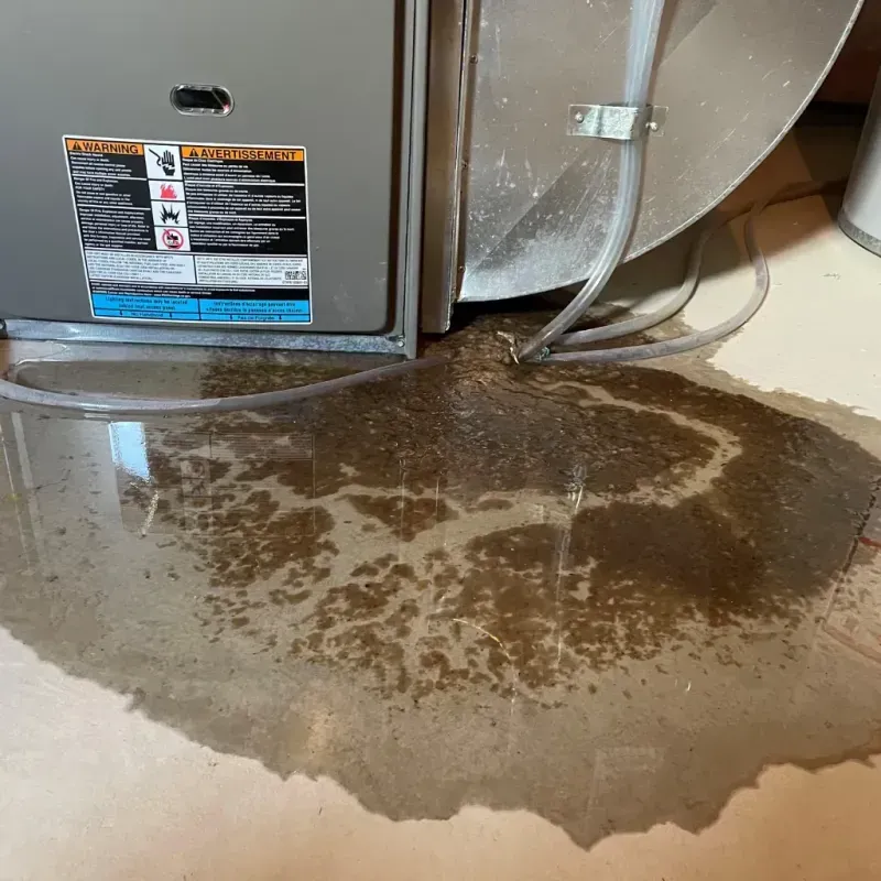 Appliance Leak Cleanup in Thousand Palms, CA